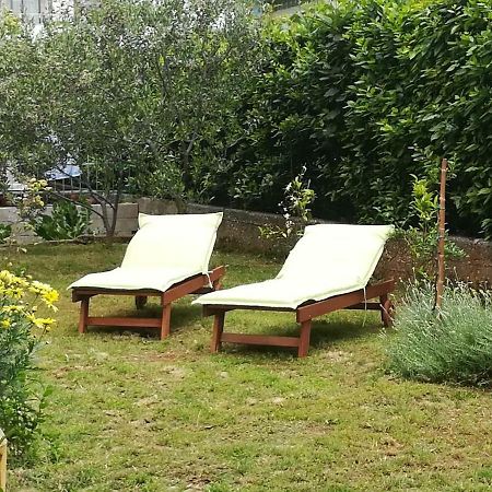 Apartment Mirana With Garden And Free Parking Zára Kültér fotó