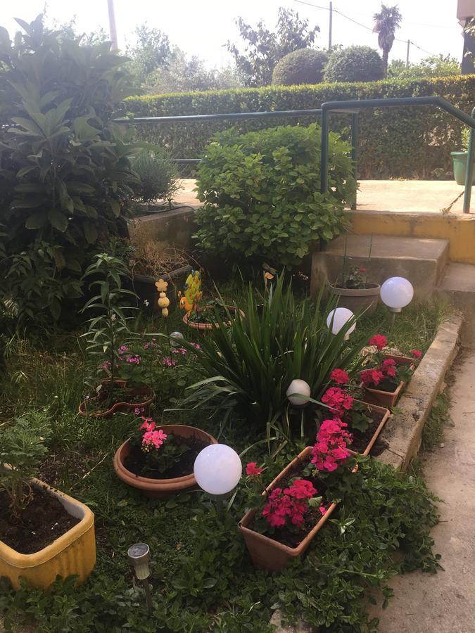 Apartment Mirana With Garden And Free Parking Zára Kültér fotó